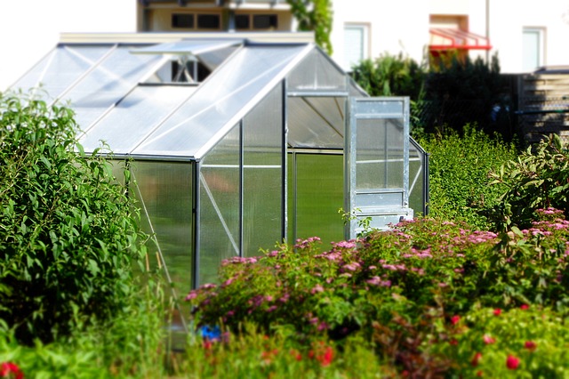skleník v zahradě.jpg